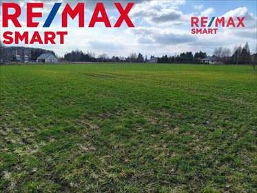 Działka 1558 m² z funkcją usługowo-mieszkalną w Miszewku działka Miszewko Strzałkowskie