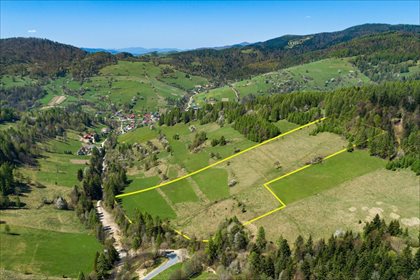 Działka budowlana na sprzedaż Wierchomla Wielka, Piwniczna-Zdrój 50 000m2 Foto 3