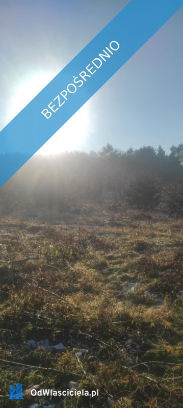 działka na sprzedaż 2800m2 działka Juszowice