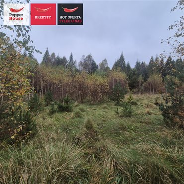 działka na sprzedaż 785m2 działka Domatówko, Sosnowa