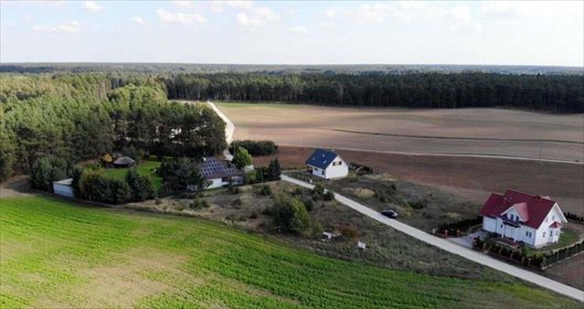Działka budowlana na sprzedaż Siedleczek 1 351m2 Foto 4