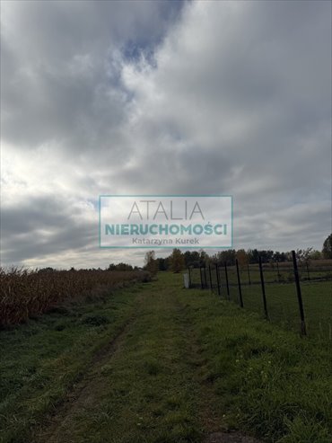 Na sprzedaż działka 3000 m² w Nowych Faszczycach z warunkami zabudowy działka Nowe Faszczyce