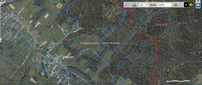 Działka 7000 m² las mieszany, dojazd gruntowy polecam działka Orelec