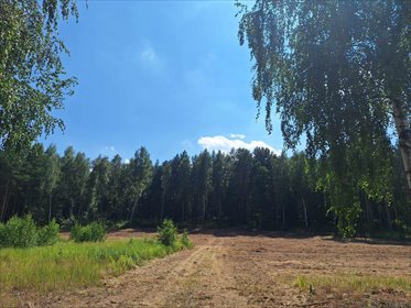 Działka 3000 m² pod dom w otoczeniu lasu, spokojna okolica działka Ruda