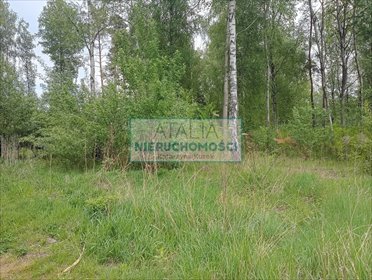 Działka 1500m² z mediami, las i zielona okolica działka Mościska
