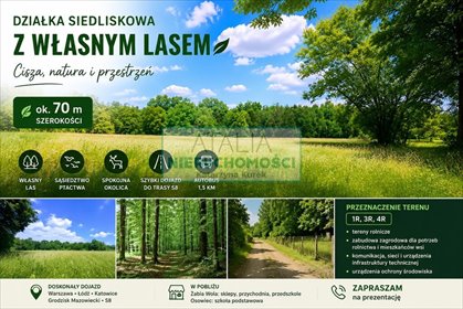 Działka siedliskowa z lasem, 70 m szerokości, prywatność działka Ciepłe
