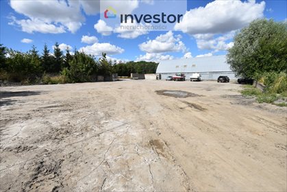 Magazyn na sprzedaż Nowa Wieś Malborska 8 500m2 Foto 6