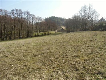 Działka budowlana na sprzedaż Kosowo 1 000m2 Foto 7