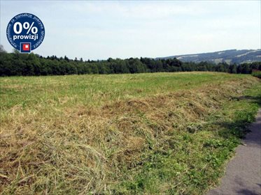 działka na sprzedaż 8900m2 działka Glinik Zaborowski, Glinik Zaborowski, Glinik Zaborowski