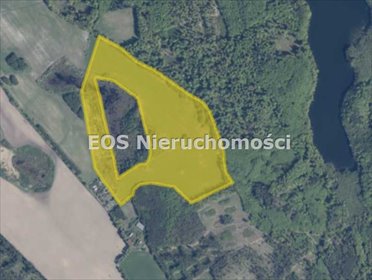 Duża działka rolna 33,97 ha pod inwestycję. działka Trzynik