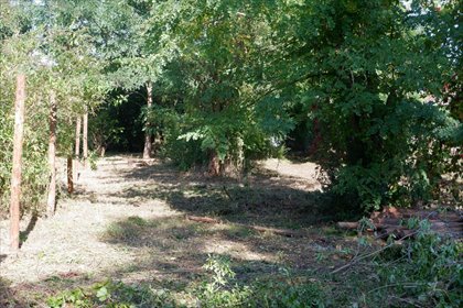 Polecam działkę 615 m² w zielonej części Wrocławia działka Wrocław