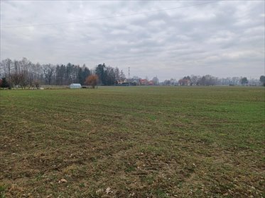 Działka budowlana na sprzedaż Ochaby Wielkie 15 747m2 Foto 5