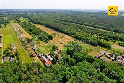 działka na sprzedaż 23000m2 działka Uściąż-Kolonia, Uściąż Kolonia