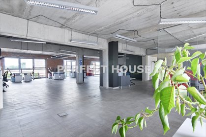 lokal użytkowy na wynajem 247m2 lokal użytkowy Poznań, Plewiska-Osiedle