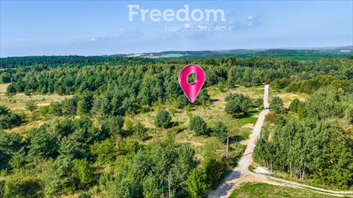 Działka 6658 m2 pod zabudowę - Jury Krakowsko-Częstochowskiej działka Podzamcze