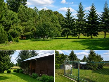 Działka 16 arów w Kielanówce, z drewnianym domkiem - polecam! działka Kielanówka