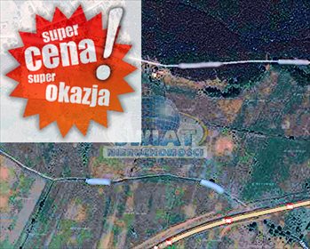 działka na sprzedaż 12500m2 działka Reptowo