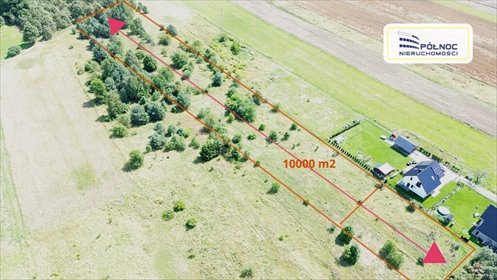 działka na sprzedaż 10000m2 działka Krępnica