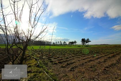 Działka budowlana na sprzedaż Kamienna 1 105m2 Foto 2