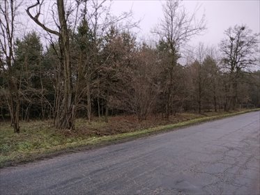 działka na sprzedaż 1000m2 działka Ostrowina
