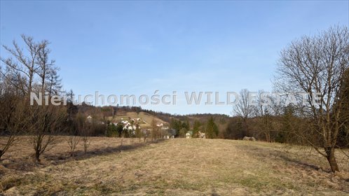Działka 42 arów z warunkami zabudowy w Wołkowyji zapraszam działka Solina, Wołkowyja