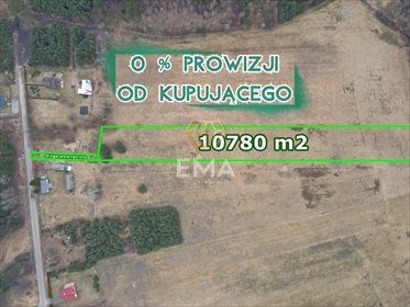 działka na sprzedaż 10780m2 działka Rudnik Wielki, Gajowa