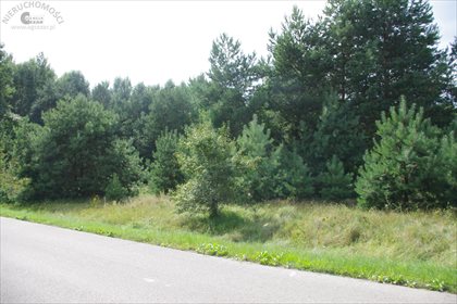 Działka rolna na sprzedaż Radoszyna 31 100m2 Foto 4