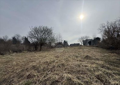 Działka budowlana na sprzedaż Bibice, Witkowicka 1 047m2 Foto 2