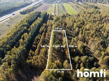 Sprzedam działkę leśną 4100 m² w Kacprowicach - cisza i natura działka Kacprowice