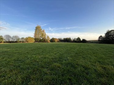 działka na sprzedaż 8920m2 działka Żernica, Kwiatowa