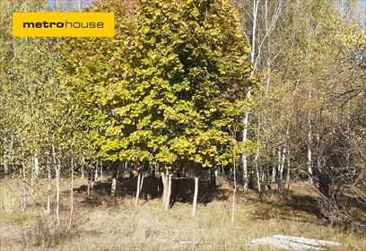 działka na sprzedaż 3891m2 działka Żeliszew Duży