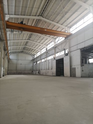 lokal użytkowy na wynajem 1300m2 lokal użytkowy Mysłowice