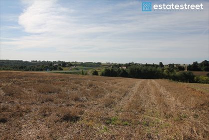 Działka rolna na sprzedaż Smroków 7 167m2 Foto 7