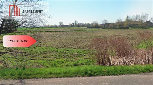 działka na sprzedaż 2500m2 działka Strzegów