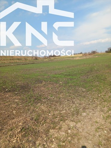 działka na sprzedaż 6600m2 działka Jakubowice Murowane