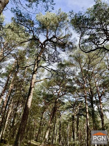 działka na sprzedaż 2337m2 działka Mrzeżyno