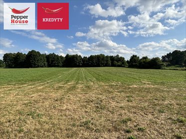 działka na sprzedaż 13400m2 działka Złotowo