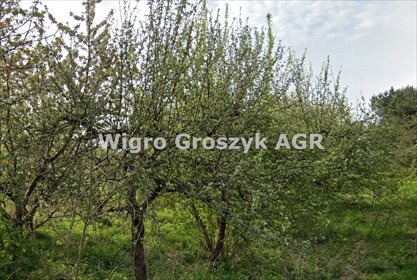 działka na sprzedaż 22056m2 działka Mokas