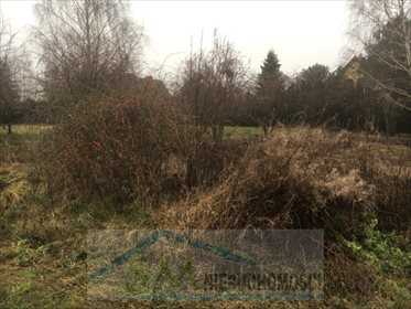 Działka inna na sprzedaż Dosin 1 236m2 Foto 2