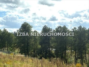 działka na sprzedaż 4160m2 działka Grabnik