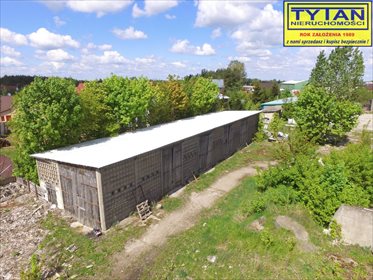 Magazyn na sprzedaż Nowogród 1 254m2 Foto 3