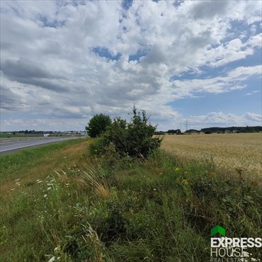 działka na sprzedaż 20002m2 działka Kruszów, Trybunalska