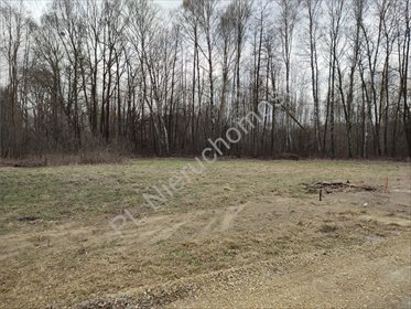 Działka budowlana 6000 m² pod lasem z mediami, Radonie działka Radonie