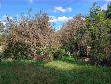 działka na sprzedaż 2655m2 działka Kielce