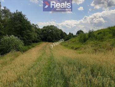działka na sprzedaż 1000m2 działka Rogóźno-Zamek