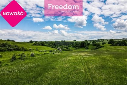 Działka rekreacyjna na sprzedaż Makowa 5 700m2 Foto 3