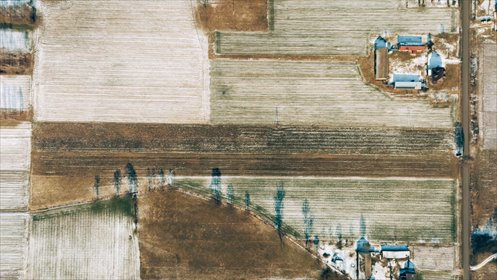 Działka budowlana na sprzedaż Bałdrzychów 1 380m2 Foto 4