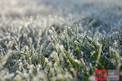 działka na sprzedaż 1300m2 działka Joniec