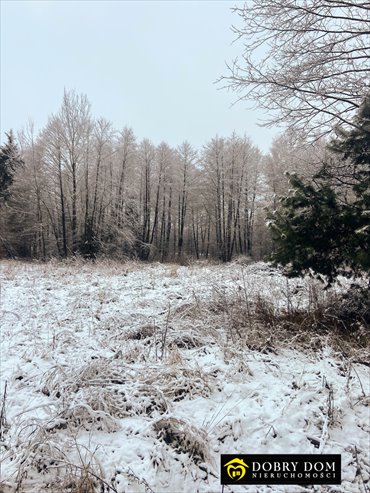 działka na sprzedaż 3000m2 działka Chmielnik
