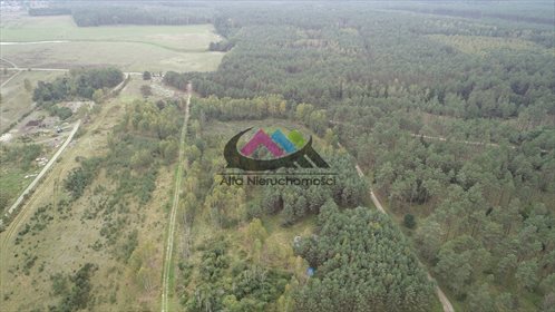 Działka 3663 m² z możliwością budowy w otoczeniu lasu - polecam! działka Niekursko
